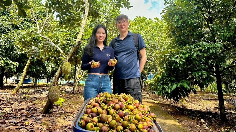 Vườn tr&aacute;i c&acirc;y Long Kh&aacute;nh