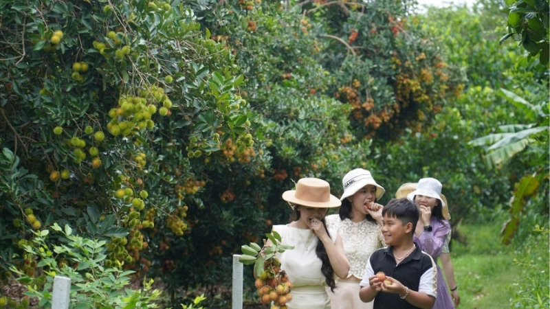 Vườn tr&aacute;i c&acirc;y Long Kh&aacute;nh