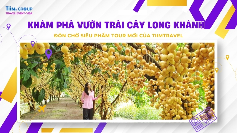 Vườn Trái Cây Long Khánh: Thiên Đường Miệt Vườn & Kinh Nghiệm Du Lịch Chi Tiết