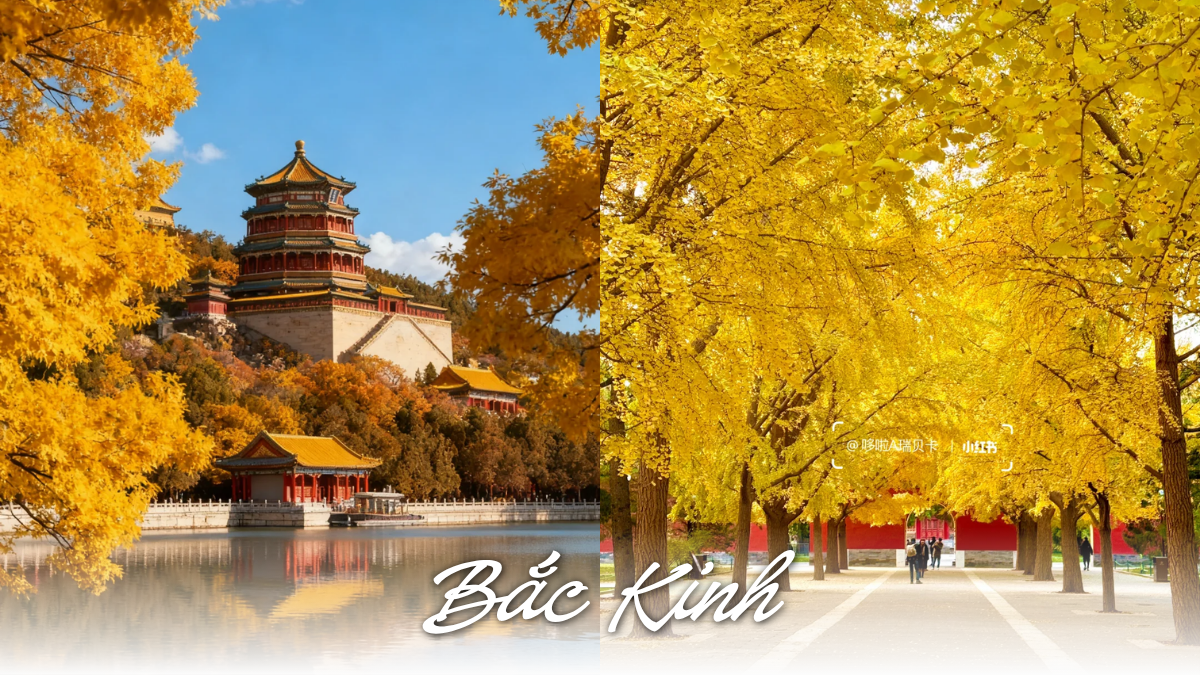 Bắc Kinh v&agrave;o thu