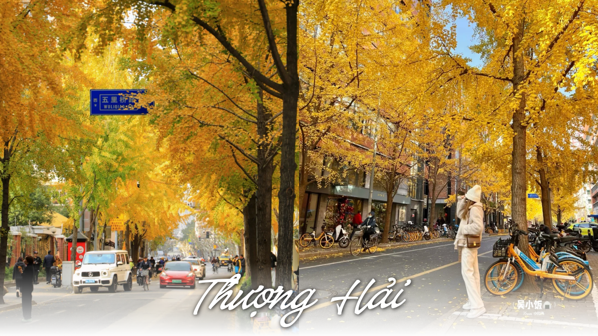 Thượng Hải  v&agrave;o thu