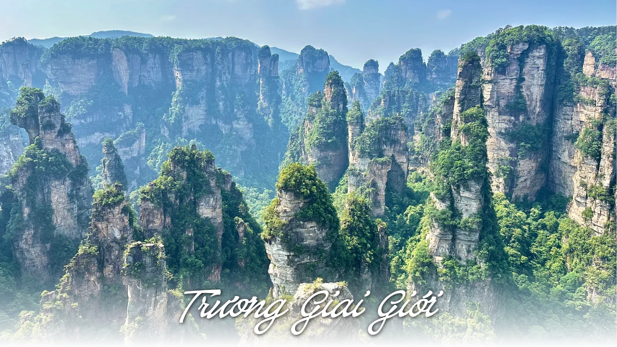 Trương Giai Giới